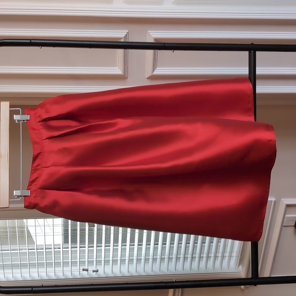 Red A-line Pleated Skirt